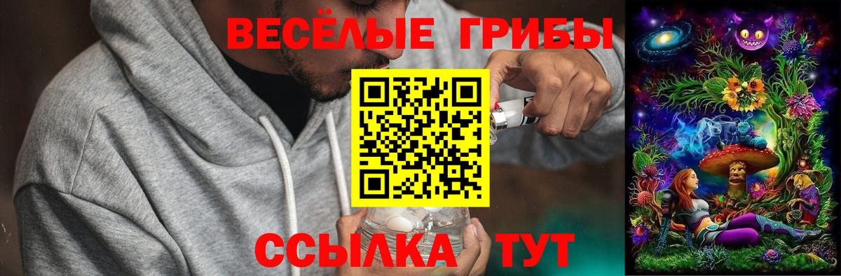 Псилоцибиновые грибы GOLDEN TEACHER  Вход с VPN  Белая Калитва 